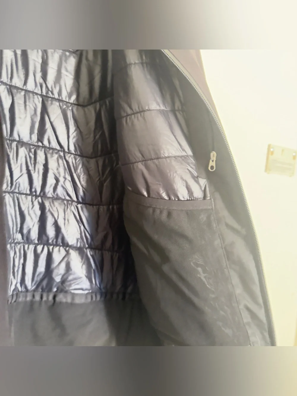 The north face ski goretex jacket